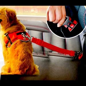 Dog safety belt keep pet safe